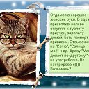 ���� �����, �����������, 56 ��� - ��������� 30 ������ 2017 � ������ �2013�