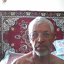 �������, ������, 81 ���