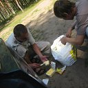 ���� �����, �����-���������, 41 ��� - ��������� 17 ���� 2017 � ������ ���� ���� ������