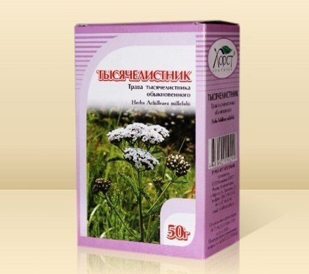 Тысяча листиков для вашего здоровья. Трава тысячелистника применяется как кровоостанавливающее ...