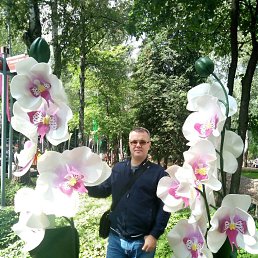 ���� ����, ������, 42 ���� - ��������� 8 �������� 2017