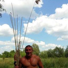 ���� ������, ������� - ��������� 8 ���� 2017