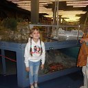 ���� �����, �����-���������, 41 ��� - ��������� 19 ���� 2017 � ������ ������ ��������