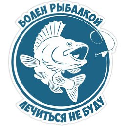 ���� ���������, ������ �������, 42 ���� - ��������� 17 ���� 2017