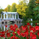 ���� �������, �����-���������, 57 ��� - ��������� 23 ��� 2017 � ������ �����