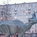 ���� �����, �������, 39 ��� - ��������� 23 ������ 2017 � ������ ���������� ������