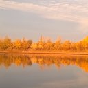 ���� �����, ����, 51 ��� - ��������� 17 ������� 2017