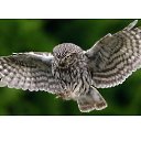 ���� Jack, ������, 44 ���� - ��������� 23 ������ 2017 � ������ ���� ����������