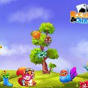 ���� ����, ����� - ��������� 1 ������� 2017 � ������ �������� �������-�������