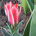 ���� �����, ��������, 46 ��� - ��������� 7 �������� 2017 � ������ ������ ��������