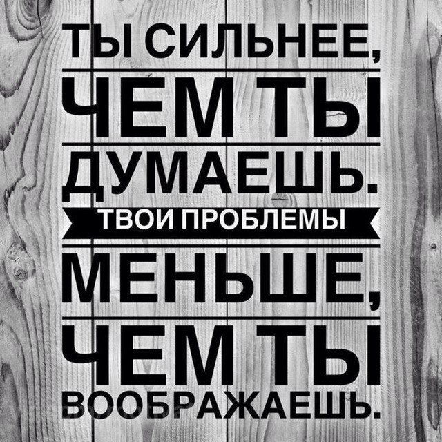     - 8  2017  13:44