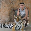 ���� ������, ��������, 37 ��� - ��������� 7 ������� 2017 � ������ ���� ����������