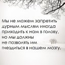 ���� �����, ���� - ��������� 11 ������� 2017 � ������ ������ ��������