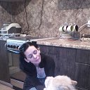 ���� �������, �����-��������� - ��������� 22 ������ 2017 � ������ ���� ����������