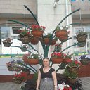 ���� �����, ����, 47 ��� - ��������� 13 ������� 2017 � ������ ���� ����������