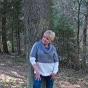 ���� ����, ������, 52 ���� - ��������� 29 ������ 2017 � ������ ���� ����������