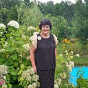 ���� ������, ���� - ��������� 28 �������� 2017 � ������ ���� ����������