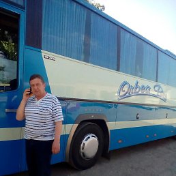 ���� ��������, �����������, 66 ��� - ��������� 29 ���� 2017