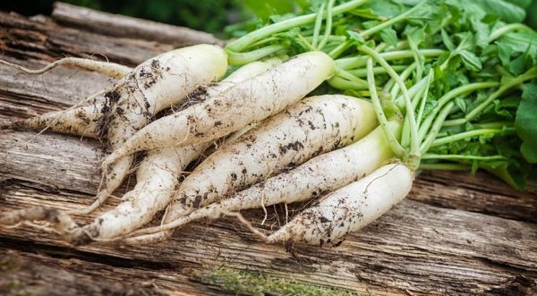 ������� �������� � �������� ��������. ������� �������� ������ ���������� ��������� � ���� ������. ...