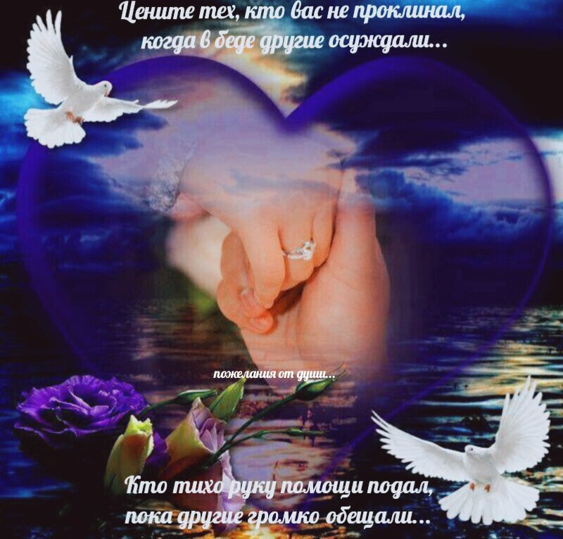  - 14  2017  13:34