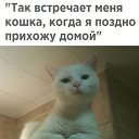���� ���������, ����������, 58 ��� - ��������� 16 �������� 2017 � ������ ������ ��������