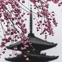 ���� Irin�, ������, 46 ��� - ��������� 26 ��� 2017 � ������ ������ ��������
