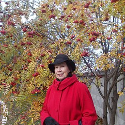 ����, ������