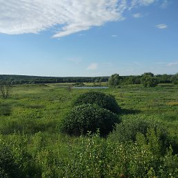 ���� �����, ������ - ��������� 28 ���� 2017