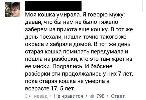    - 27  2017  03:54