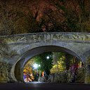 ���� ������, �����������, 54 ���� - ��������� 30 ������ 2017