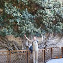 ���������, ������� ������ �� ������� ���� ����������