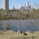 ���� ����, ����������, 57 ��� - ��������� 29 ������ 2017 � ������ ������ 2017�