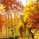  Rima, , 58  -  27  2017    