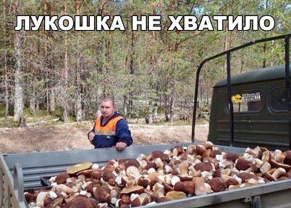 ��� ������ ��� - 7 ������� 2017 � 19:03