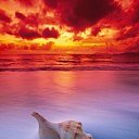���� Lana, ����, 53 ���� - ��������� 27 ������� 2017 � ������ ���� ����������
