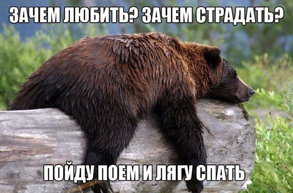    :D - 15  2017  22:30