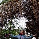 ���� ������� ����������, ����� - ��������� 21 ��� 2017 � ������ ���� ����������