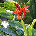  , , 60  -  8  2017   ,01.10.-06.10.17.