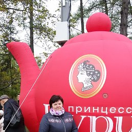 ���� ���, ������ - ��������� 17 ���� 2017