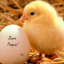 ���� Valentyna C-285, ����� - ��������� 16 ������ 2017 � ������ ������ ��������