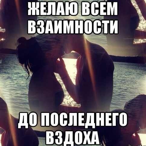   - 17  2017  16:00
