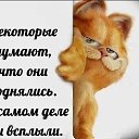 ���� ����, �����-��������� - ��������� 28 �������� 2017 � ������ ������ ��������