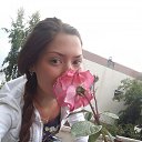  , , 29  -  27  2017   2013 - 2017 .