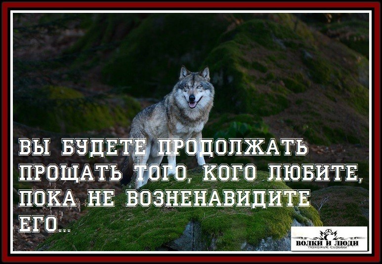  - 9  2017  12:08