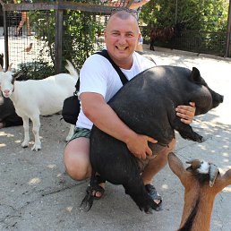 Evgeny, ��������, 46 ���