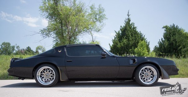 1978 Pontiac Firebird Trans AM - 2