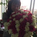 ���� Svetok, ����� - ��������� 16 �������� 2017 � ������ ���� ����������
