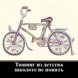 �������, ����, 54 ����