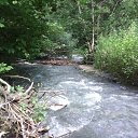 ���� ����, �������, 35 ��� - ��������� 11 ������� 2017 � ������ ������ ��������