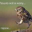 ���� �������, ������ - ��������� 6 ���� 2017